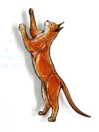 Image 1 of FINE ART PRINT " CAT "