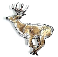 Image 1 of FINE ART  PRINT " DEER "