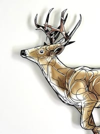 Image 2 of FINE ART  PRINT " DEER "