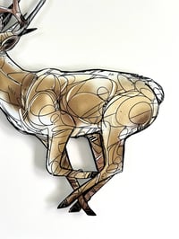Image 3 of FINE ART  PRINT " DEER "