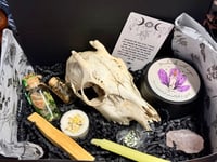 Image 4 of Mystery Box L