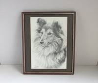 Image 1 of Framed Vintage Shetland Sheepdog Lithographic B&W Art Print by M J Sibley 