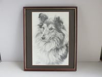 Image 2 of Framed Vintage Shetland Sheepdog Lithographic B&W Art Print by M J Sibley 