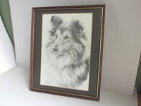 Image 3 of Framed Vintage Shetland Sheepdog Lithographic B&W Art Print by M J Sibley 