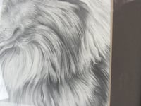 Image 5 of Framed Vintage Shetland Sheepdog Lithographic B&W Art Print by M J Sibley 