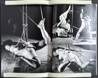 Image 5 of SM Spirits, 1985.06