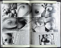 Image 2 of SM Spirits, 1985.06