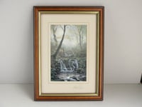 Image 1 of Framed Vintage Art Print,'Tranquility' by Maurice Bishop, Artist Signed, Woodland Stream Waterfall