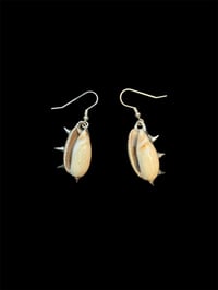 conch earrings ⋆˚꩜｡
