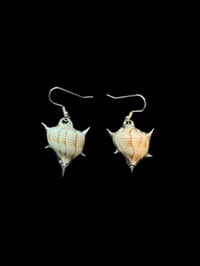 beast earrings 𓇼 ⋆.˚ 𓆉 𓆝 𓆡⋆.˚ 𓇼