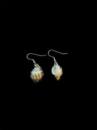 seabubble earrings 𓅰 𓅬 𓅭 𓅮 𓅯