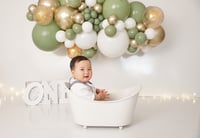 Image 4 of $100 off First Birthday  Cake Smash session