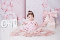 Image 8 of $100 off First Birthday  Cake Smash session