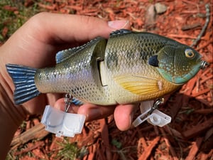 Image of 6” Ann Xslowsink (Burugiru II)