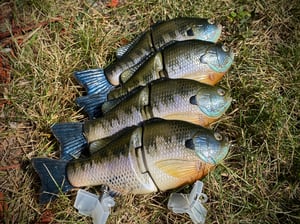 Image of 6” Ann Xslowsink (Burugiru II)