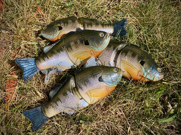 Image of 6” Ann Xslowsink (Burugiru II)