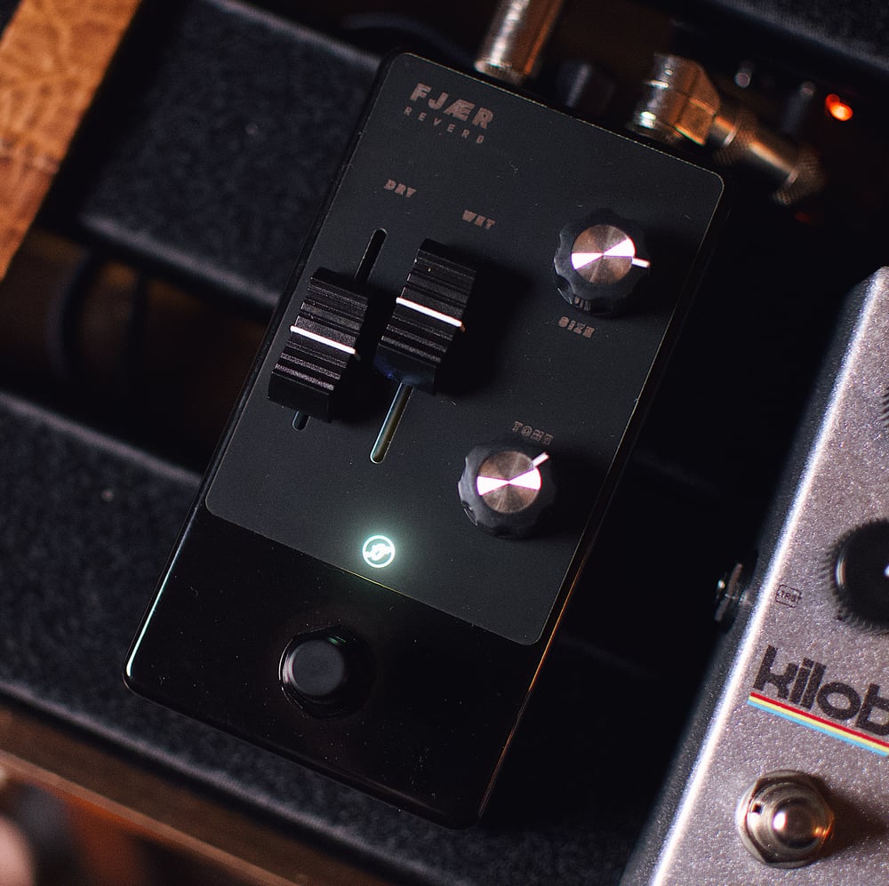 Image of Fjord Fuzz FJAER Spring Reverb