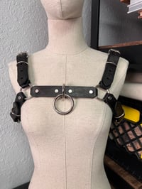 Image 2 of Bulldog Harness