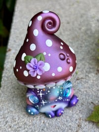 Image 2 of Galaxy Mushkid (Last one!)