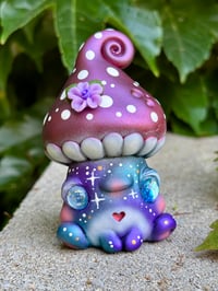 Image 1 of Galaxy Mushkid (Last one!)