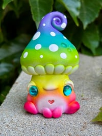 Image 1 of Rainbow Mushkid (Last one!)