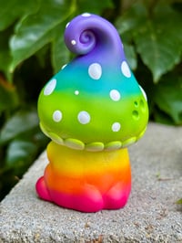 Image 3 of Rainbow Mushkid (Last one!)