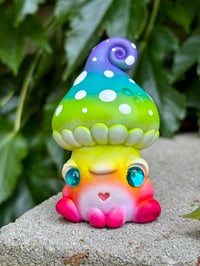 Image 2 of Rainbow Mushkid (Last one!)