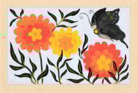 Image 1 of “Marigold Visitor”