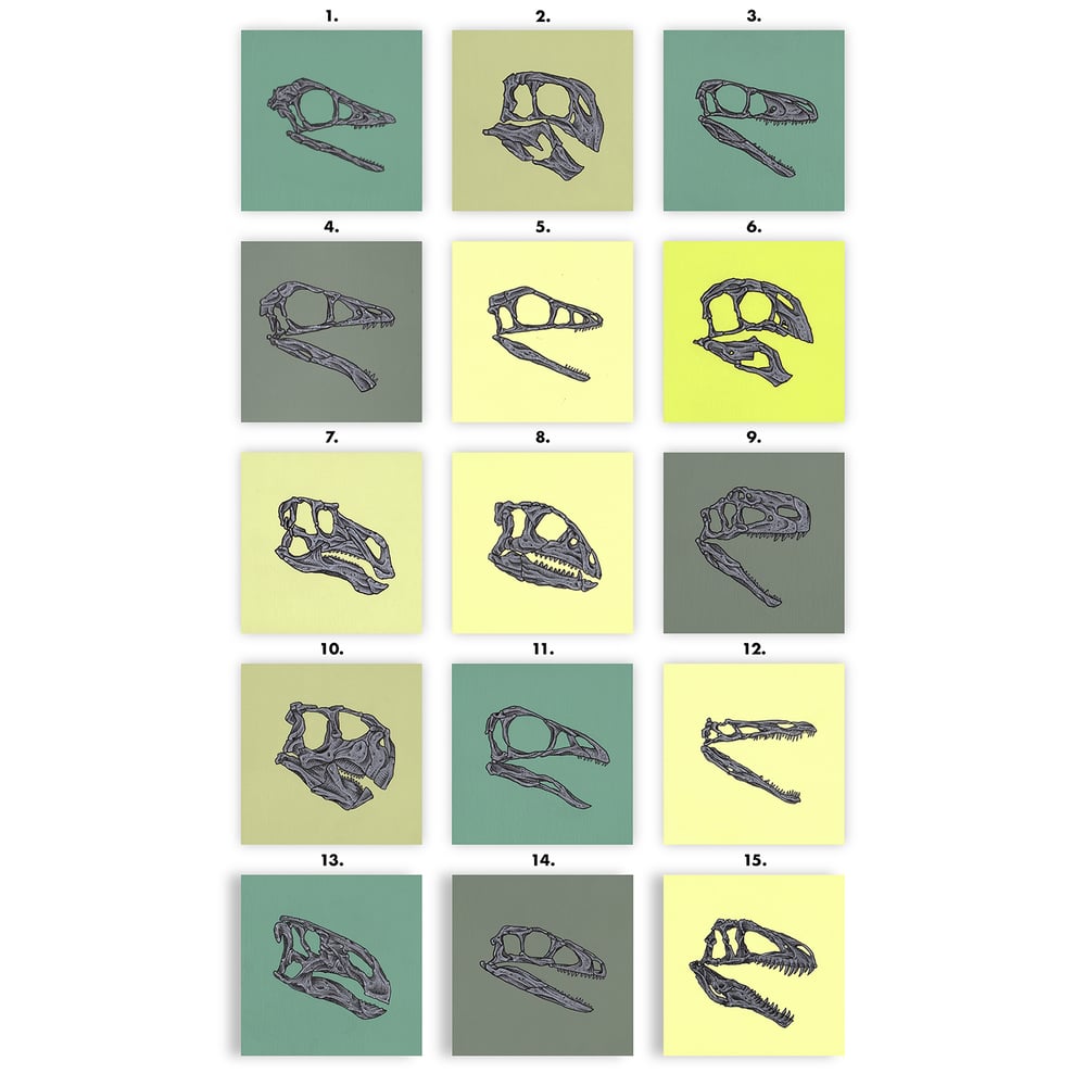 DINOSAUR SKULLS