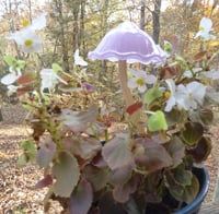 Image 1 of Glass mushroom handmade pyrex for inside or outdoor gardens / potted plants, or even aquar-7c0ff3eb