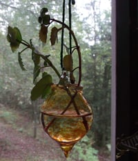 Image 1 of Hanging glass plant globe. Comes with 2-3 plant cuttings, either swedish ivy, pathos, wandering j...