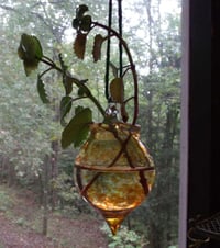 Image 2 of Hanging glass plant globe. Comes with 2-3 plant cuttings, either swedish ivy, pathos, wandering j...