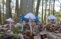 Image 3 of Glass mushroom handmade pyrex for inside or outdoor gardens / potted plants, or even aquar-7c0ff3eb