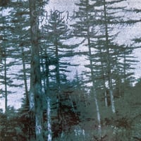 Image 1 of Autumn Heart "The Deaths Of Summer" CD