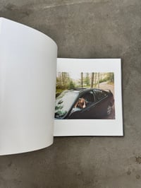 Image 17 of The Canaries - Thilde Jensen