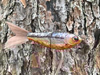 Image 2 of SPEEDBAITS Custom Airbrushed Swimbait 2374