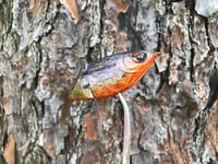 Image 4 of SPEEDBAITS Custom Airbrushed Swimbait 2374