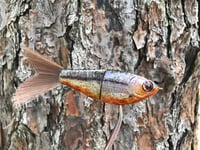 Image 5 of SPEEDBAITS Custom Airbrushed Swimbait 2374