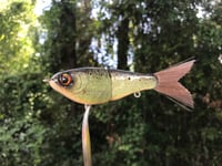 Image 1 of SPEEDBAITS Custom Airbrushed Swimbait 1613