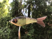 Image 2 of SPEEDBAITS Custom Airbrushed Swimbait 1613