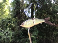 Image 3 of SPEEDBAITS Custom Airbrushed Swimbait 1613