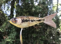 Image 1 of SPEEDBAITS Custom Airbrushed Swimbait 5980