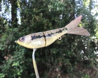 Image 2 of SPEEDBAITS Custom Airbrushed Swimbait 5980