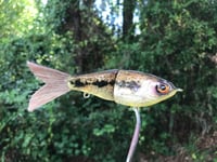 Image 4 of SPEEDBAITS Custom Airbrushed Swimbait 5980