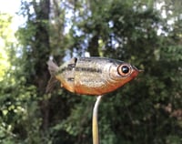 Image 2 of SPEEDBAITS Custom Airbrushed Swimbait 3359