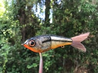 Image 4 of SPEEDBAITS Custom Airbrushed Swimbait 3359