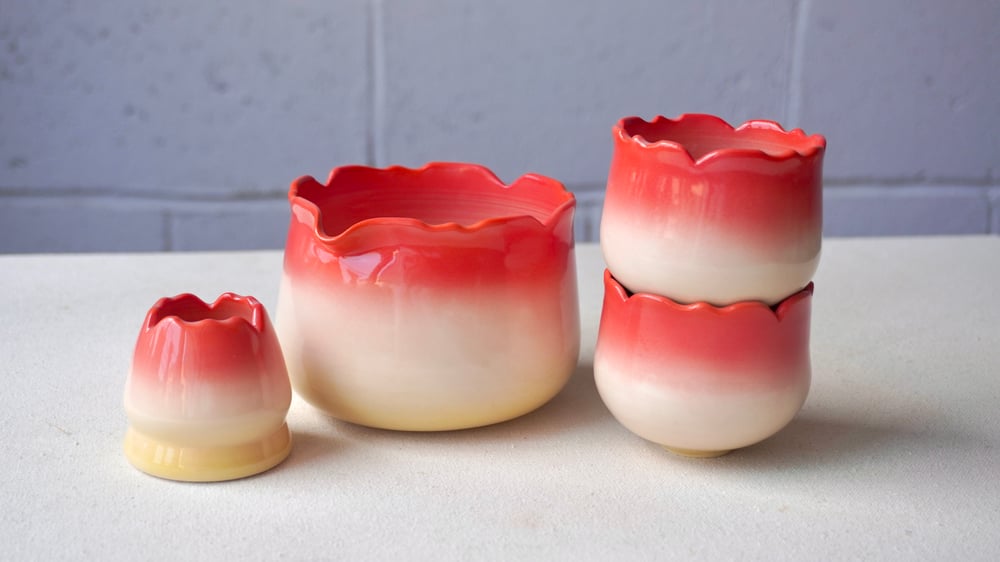 Image of Rose 🌹 with cups