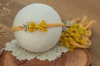 Image 2 of Stretch Tieback 201