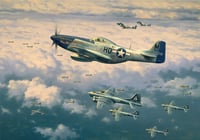 ESCORT TO THE REICH by Anthony Saunders