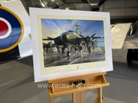 Image 2 of THE HORNETS NEST by John D. Shaw